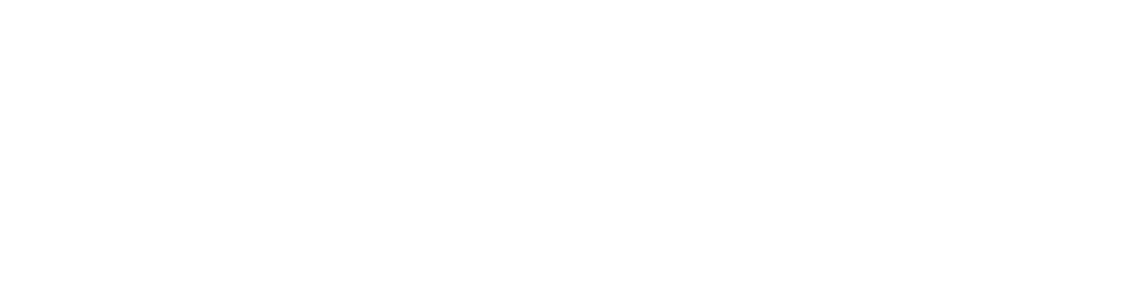 BALIVIP Wedding
